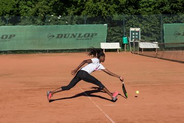 Noma Noha Akugue 303 - Amato Caffe Open